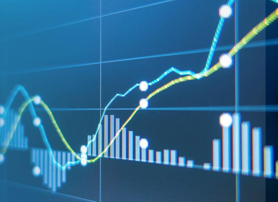 ���Ӽ��Ź���