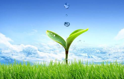 ���Ӽ���(�й�)�ɷݹ�˾-�ٷ���վ