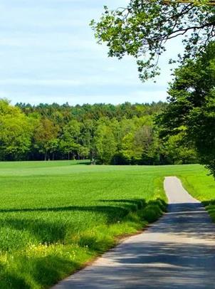 ���Ӽ���(�й�)�ɷݹ�˾-�ٷ���վ